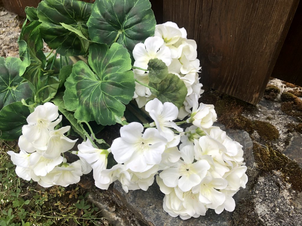 Umělé květiny muškáty bílé